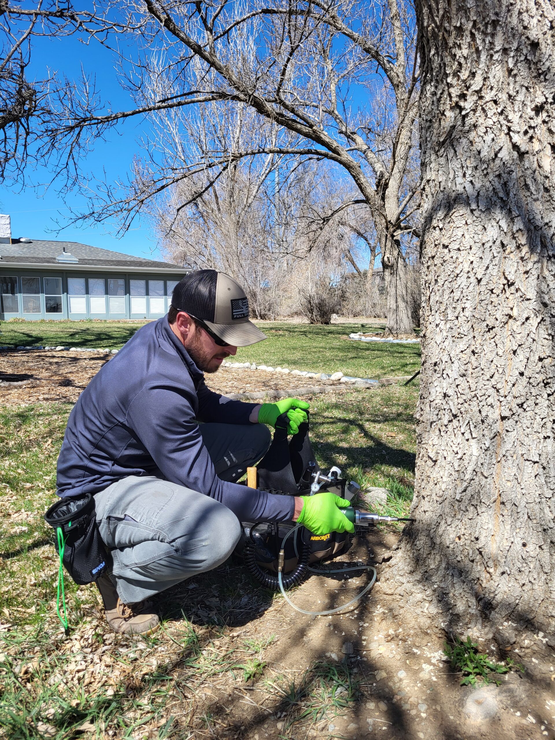 Tree Injection