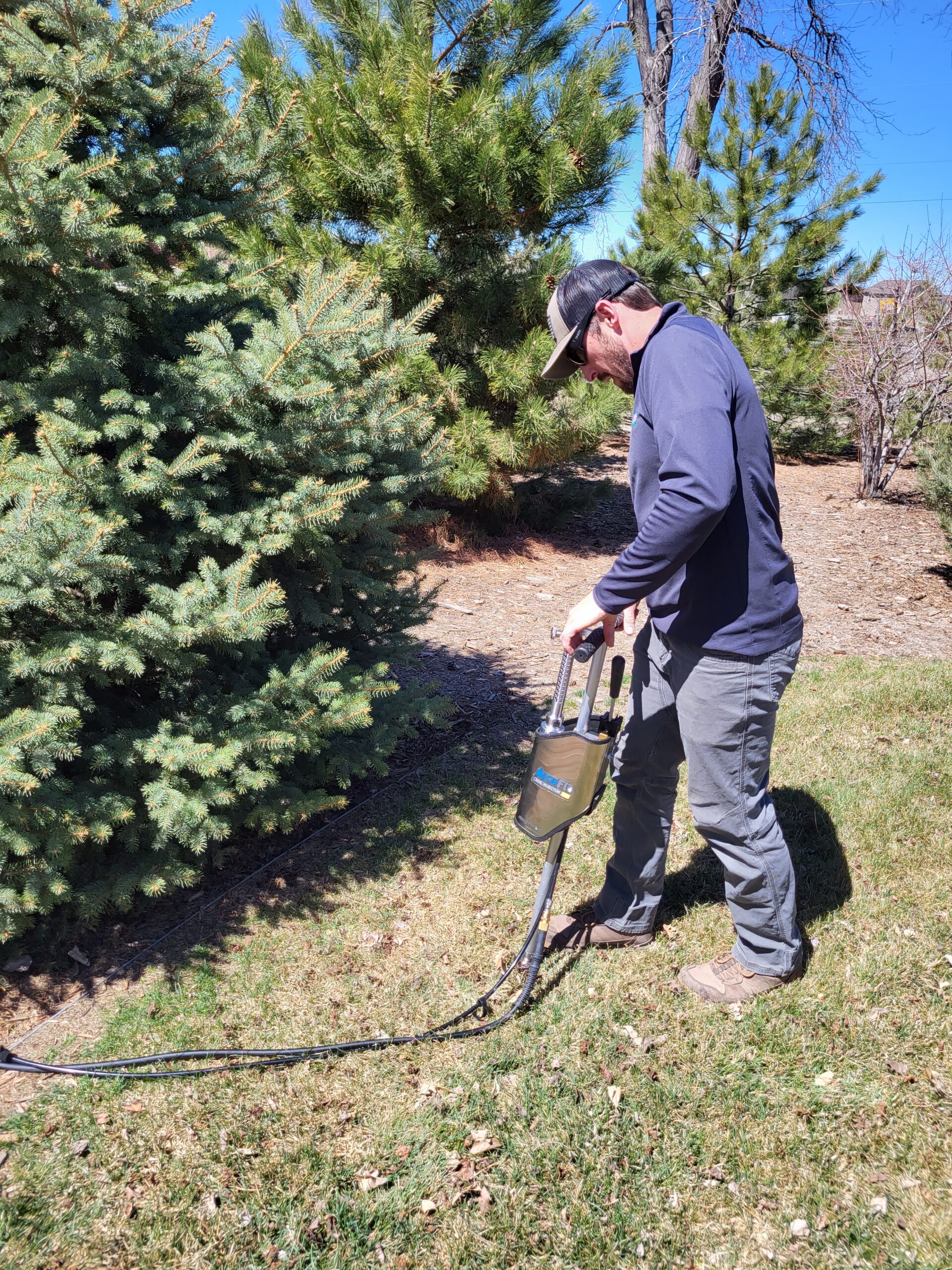 Soil Injections for Healthy Trees
